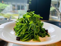 炝拌辣木苗-新荣记(西溪湿地店)