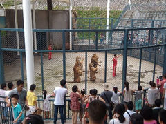 android_upload_pic-福州动物园