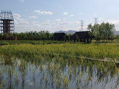 -永定河休闲森林公园