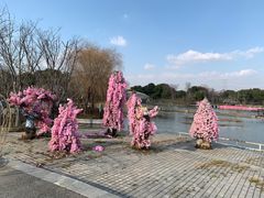-上海杨姆庄园