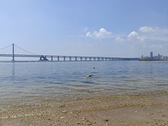 -星海湾跨海大桥