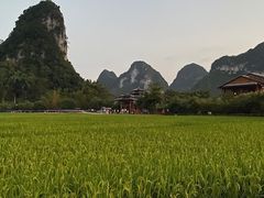 -靖西鹅泉风景区