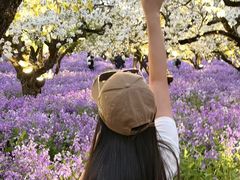 -江苏三台山国家森林公园