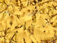 -大兴滨河森林公园