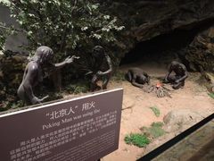 -北京周口店北京人遗址博物馆