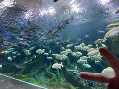 -波塞冬海底世界