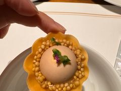 -觀芷隐轩