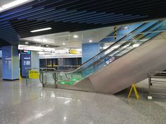 -大龙山(地铁站)