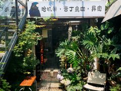 -吉丁鸟咖·异宠·寄养