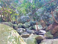 -阳台山森林公园