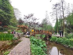 -重庆彩云湖湿地公园