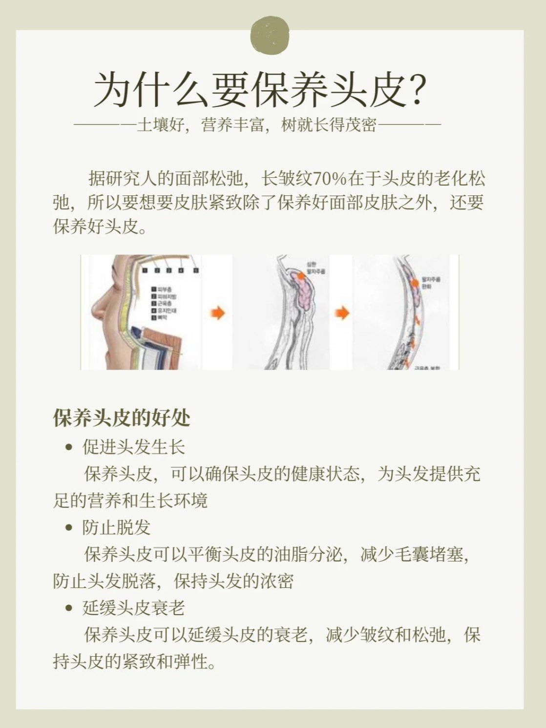 为什么我们要保养皮肤？