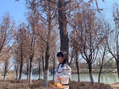 -森林公园(尖草坪区)