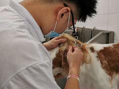 -宠爱国际动物医院(德胜门店)