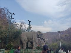 -栾川竹海野生动物园