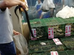 -荔城生鲜盛宴(番禺旗舰店)