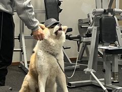 -YCHL Studios健身工作室(市二宫店)
