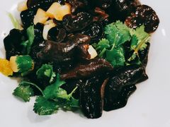 藕尖木耳-东方饺子王(新奥购物中心店)