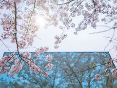 -龙美术馆(西岸馆)