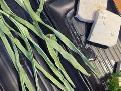 -塔兰齐新疆孜然火锅(鲤鱼山路店)