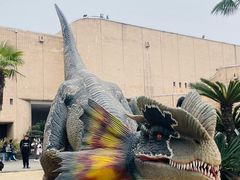 -自贡恐龙博物馆