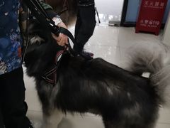 -申普宠物医院·眼科·心内科·影像科(普陀分院)