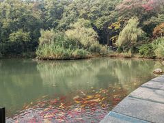 -古隆中景区