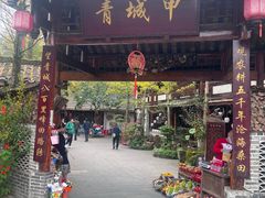 -青城甲(青城山店)