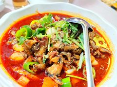 -东鸽皇(奥园·中环广场店)