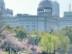 -月湖风景区