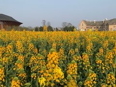 -中国天府农业博览园