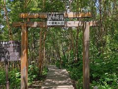 -白草畔自然风景区