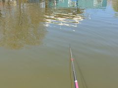 -酷鱼垂钓CLUB(朝阳区博大路店 )