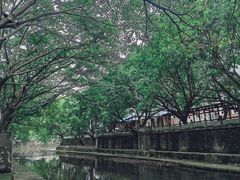 -偏岩古镇