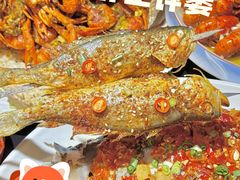-京悦南门涮羊肉·羊蝎子火锅(田林路店)