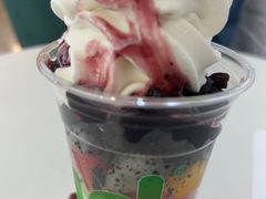 -Salud撒露欧洲冻酸奶(798艺术区店)