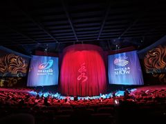 -水秀国际大剧院