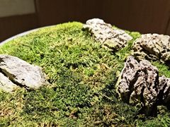 -耳湾躺式采耳SPA馆(保利五月花店)