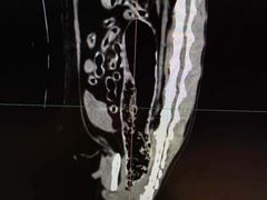 -北京派仕佳德动物医院·超导核磁·CT·神经科·骨科·内外科·急重症管理中心