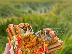 -七的湖·晚芳亭·阳澄湖农家菜·大闸蟹(莲花岛店)