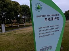 -皇粮浜湿地公园