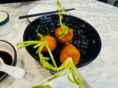 -丁老爷子苏香圆