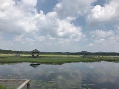 -塞罕坝国家级自然保护区