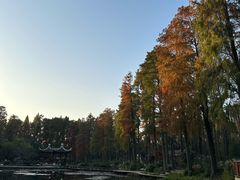 -东湖落雁景区