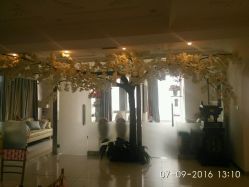 樱花许愿树-花轿喜屋婚礼策划