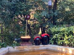 -天目湖涵田半山温泉