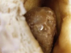 肉馒头-同济大学本部学苑饮食广场