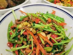 -新新湘菜馆(新中街二条店)