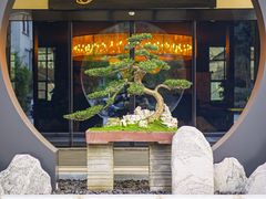 -椿杨樘·明康泡浴养生馆(重庆店)