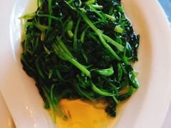 清炒鸡毛菜-西安绿地假日酒店·丽宝轩中餐厅